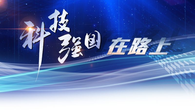 数据安全认证标准：揭秘企业IT决策者的关键参数